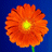 hungphannam's Avatar